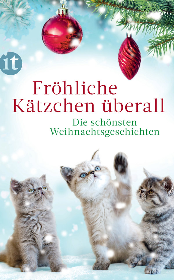 Fröhliche Kätzchen überall - Die schönsten Weihnachtsgeschichten