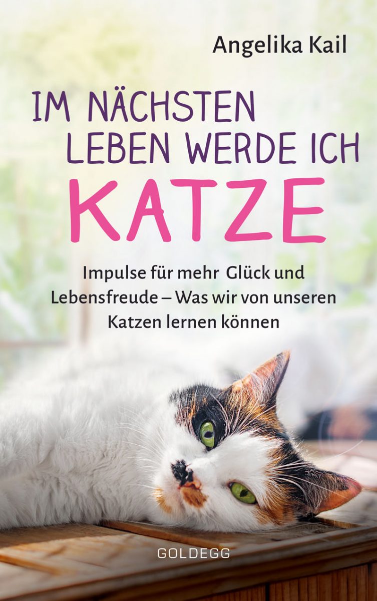 Angelika Kail - Im nächsten Leben werde ich Katze