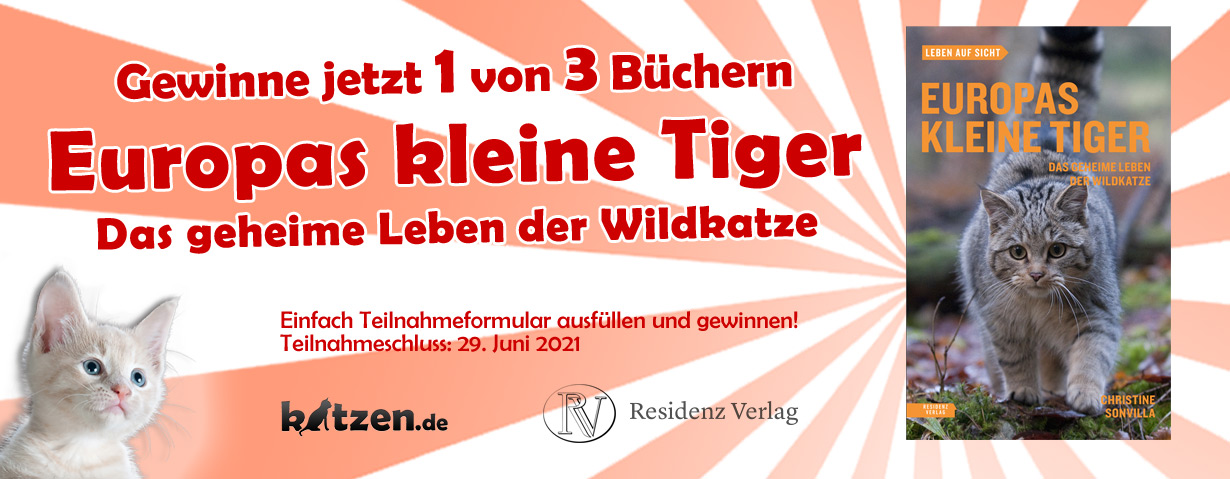 Gewinnspiel: Europas kleine Tiger – Das geheime Leben der Wildkatze