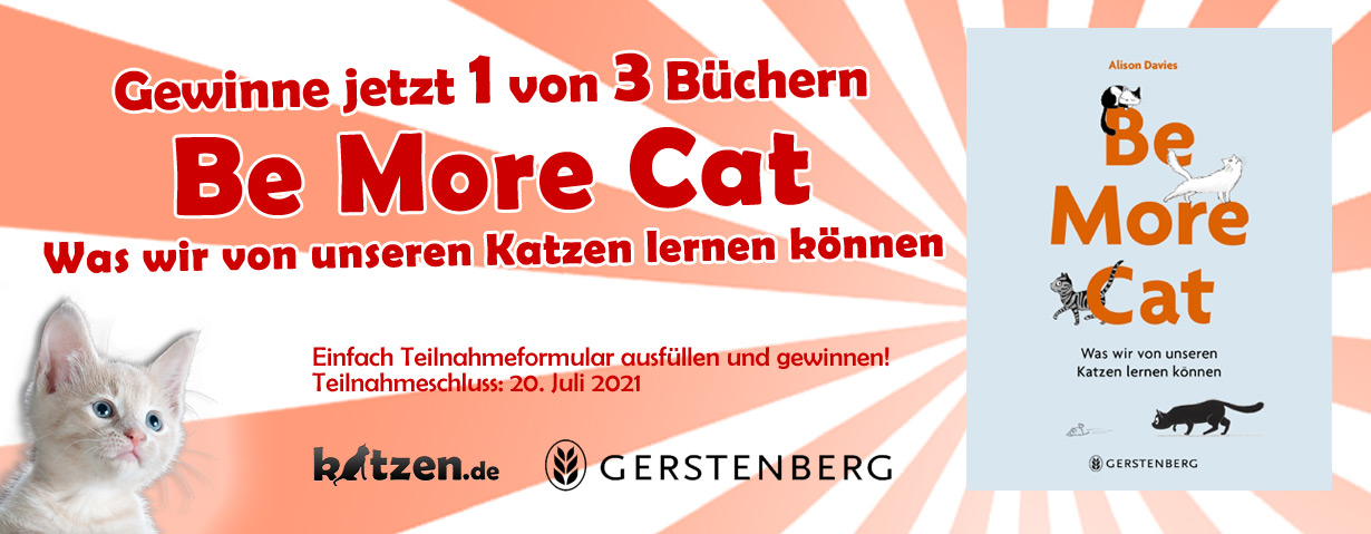 Gewinnspiel: Be More Cat - Was wir von unseren Katzen lernen können