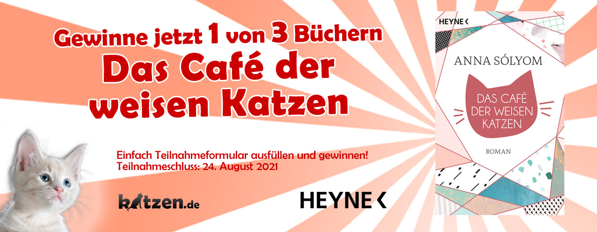 Gewinnspiel: Das Café der weisen Katzen