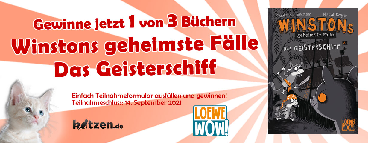 Gewinnspiel: Winstons geheimste Fälle (Band 2) - Das Geisterschiff