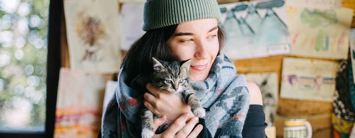 Umzug mit Katze: 7 hilfreiche Tipps, wie man den Umzug stressfrei angeht