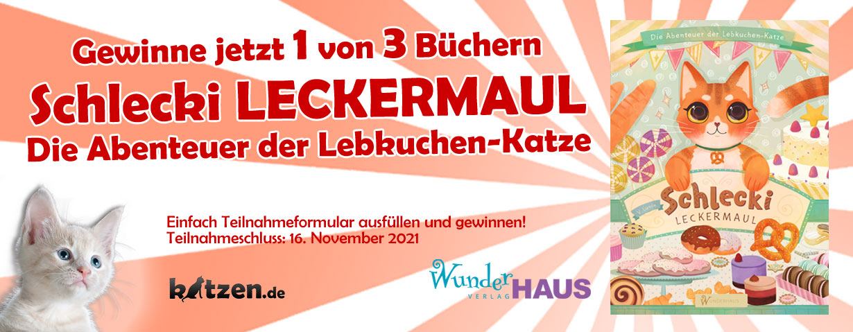 Gewinnspiel: SCHLECKI LECKERMAUL - Die Abenteuer der Lebkuchen-Katze aus der magischen Konditorei