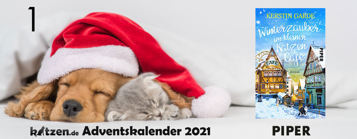 Gewinnspiel: Winterzauber im kleinen Katzen-Café