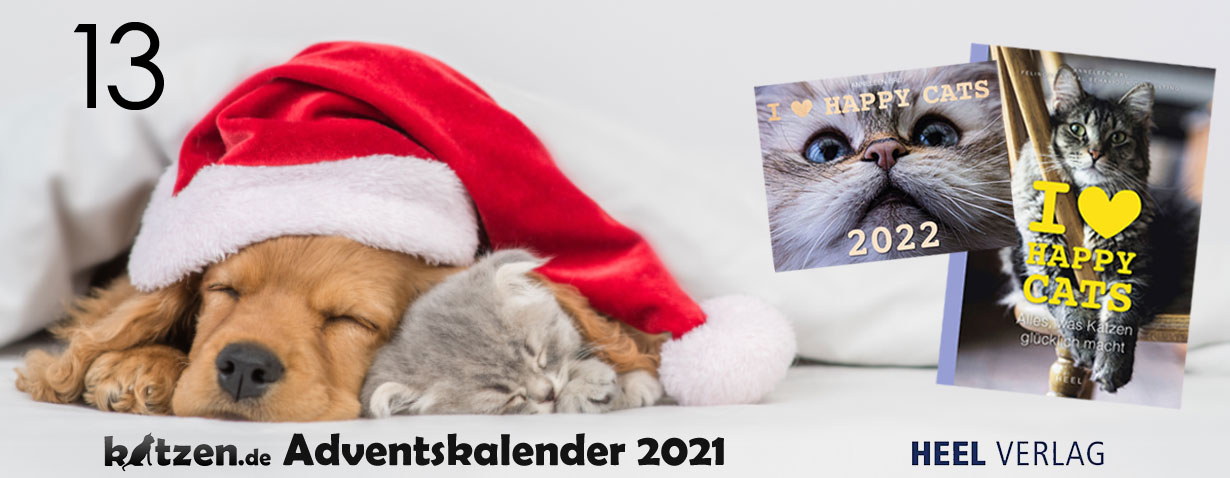 Gewinnspiel: "I love Happy Cats"-Bundles (Buch und Kalender 2022)