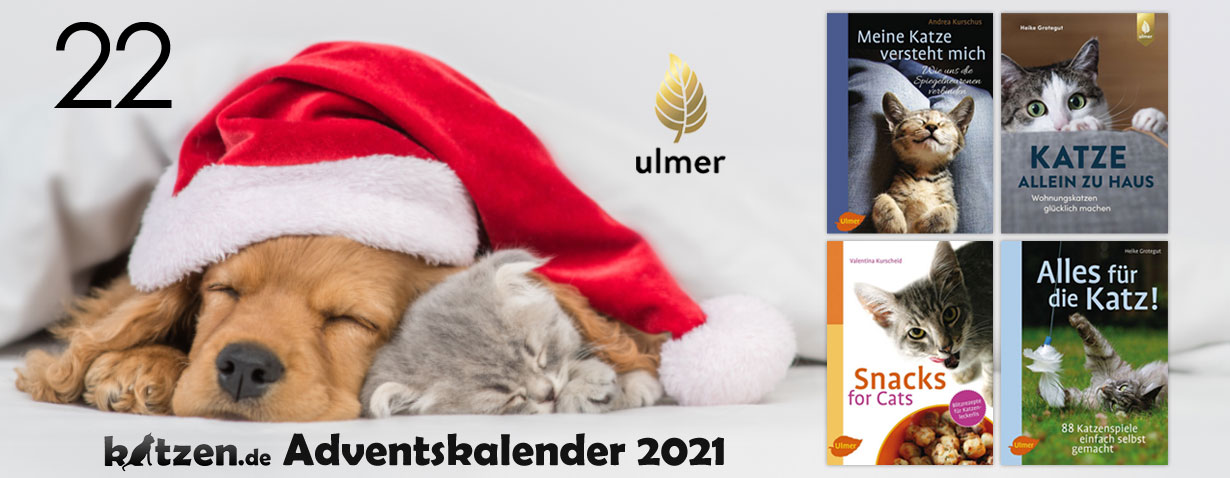 Gewinnspiel: Katzenbuch-Pakete von Ulmer - Ratgeber für noch glücklichere Katzen