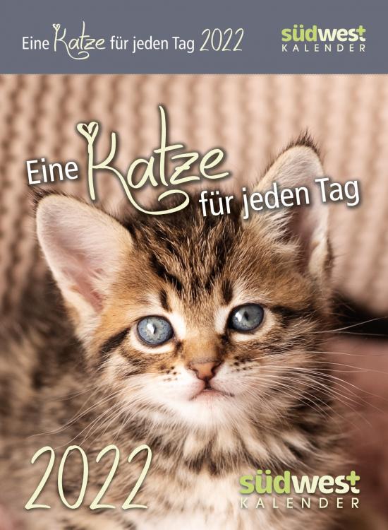 Eine Katze für jeden Tag 2022 - Tagesabreißkalender