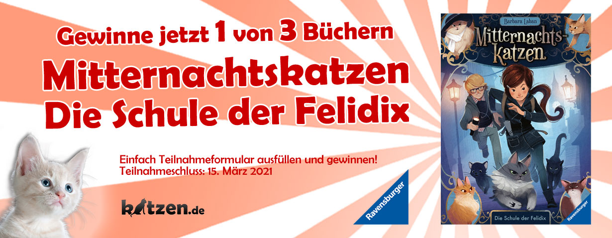 Gewinnspiel: Mitternachtskatzen, Band 1: Die Schule der Felidix